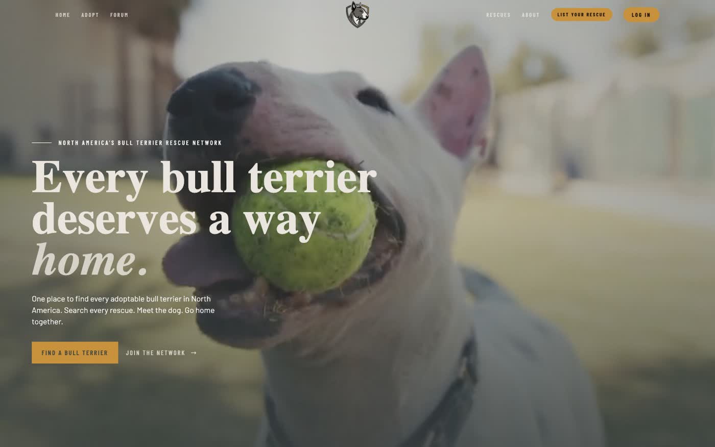 Bull Terrier Rescue Network home page reading every bull terrier deserves a way home